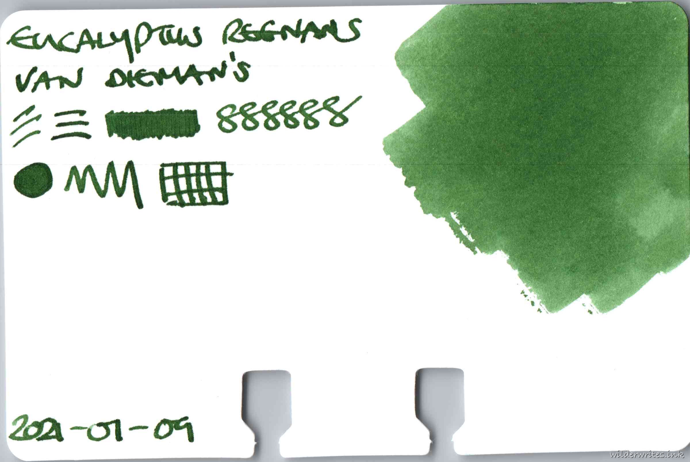 Van Dieman's Eucalyptus Regnans on Col-o-dex card